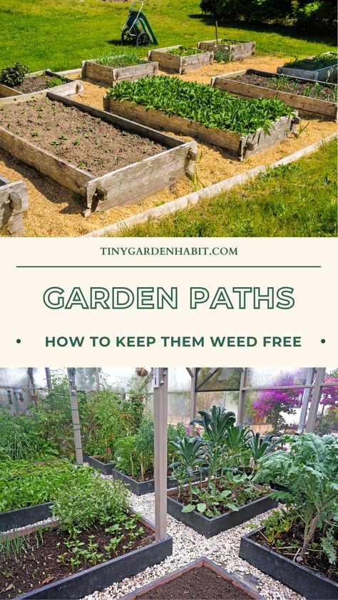 Vegetable Garden Walkway Ideas, Raised Bed Garden Pathway, Mulch Around Raised Garden Beds, Vegetable Garden Walkways, Mulch Garden Pathways, Garden Bed Pathway, Raised Garden Bed Pathways, Raised Garden Paths And Walkways, Raised Bed Pathway