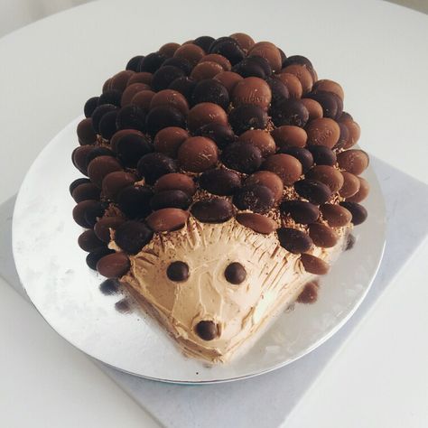 Chocolate hedgehog cake - With Haighs Chocolate buttons, Nutella Frosting and Miettes Dark chocolate cake. Hedgehog Cake Tutorial, Haighs Chocolate, Hedgehog Cake Ideas, John Cake, Chocolate Hedgehog, Hedgehog Cookies, Nutella Frosting, Cake Competition, Hedgehog Cake