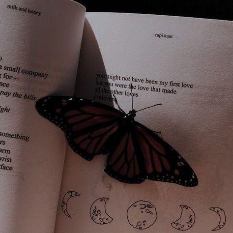 A Butterfly, The Words, The Moon, Moon, Stars, Quotes