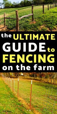 Farm Fencing, Pasture Management, Homestead Layout, Fencing Options, Farm Hacks, Types Of Farming, Raising Farm Animals, Homesteading Diy, Farm Plans