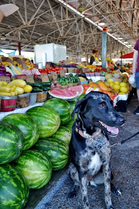 Dallas Farmers Market, Things To Do In Dallas, Market Aesthetic, Nothing Happened, Texas Life, Wonderfully Made, Pet Friendly Hotels, Simpler Lifestyle, Farmers Markets