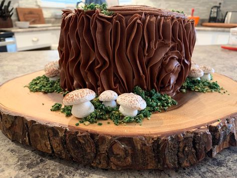 Moss Cake, Stump Cake, Meringue Mushrooms, Tree Stump Cake, Anna Cake, Cake Classes, Rolling Fondant, Cake Lover, Specialty Cakes