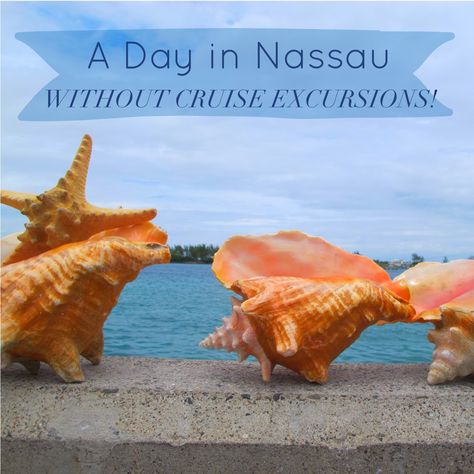 A Day in Nassau Without Cruise Excursions Bahamas Honeymoon, Bahamas Travel, Bahamas Vacation, Cruise Excursions, Bahamas Cruise, Cruise Holidays, Royal Caribbean Cruise, Norwegian Cruise, Family Cruise