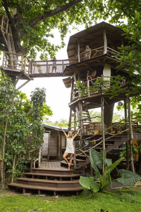 These Legendary Surfers’ Converted School Bus Connects to a Three-Story Tree House on Hawaii - Dwell Surf Shacks, Hanalei Kauai, Converted School Bus, Swiss Family Robinson, Cool Tree Houses, Hawaii Homes, Surf House, Surf Shack, Backyard Paradise