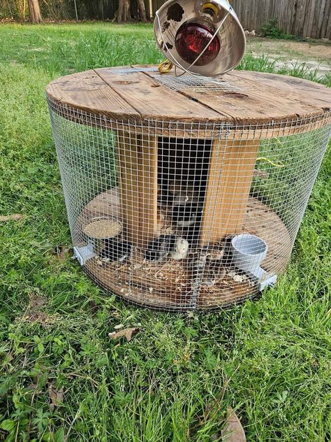 Diy Baby Chicken Coop Ideas, Chicken Playground Ideas Diy, Chicken House Ideas, Duck Ideas, Chicken Coop Garden, Backyard Chicken Coop Plans, Diy Chicken Coop Plans, Backyard Chicken Farming, Heat Lamp