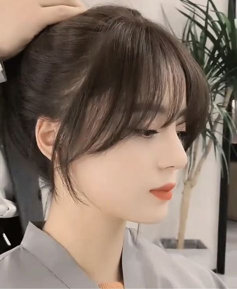 Hair Style Korea, Hair Inspiration Long, Bangs With Medium Hair, Hairstyles For Layered Hair, Haircuts For Medium Hair, Haircuts Straight Hair, Long Hair With Bangs, Hair Stylist Life, Haircuts For Long Hair