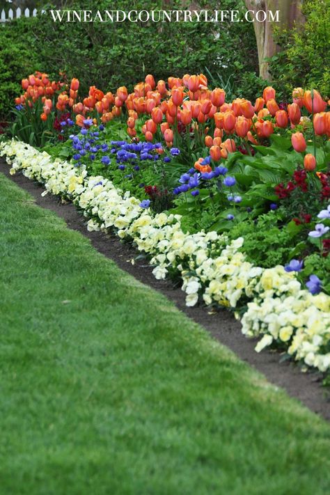 Tulip Border, Primrose Flower, Lewis Ginter Botanical Garden, Virginia Wine Country, Virginia Wineries, Benefits Of Gardening, Garden Pavilion, Landscaping Inspiration, Virginia Travel