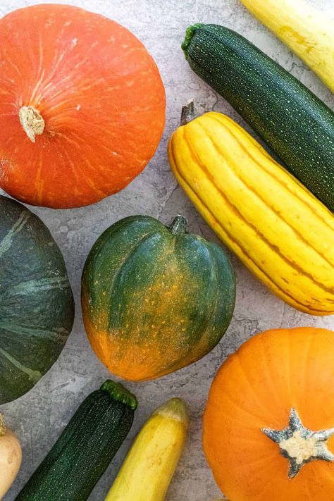 Though they're pillars of the produce aisle, there are several types of squash to know and love. A list of summer and winter varieties. #squash #wintersquash #summersquash Squash Varieties Types Of, Types Of Squash Winter, Types Of Squash Summer, Vegetable Photos, Different Kinds Of Squash, Types Of Squash, Carnival Squash, Yellow Crookneck Squash, Sweet Dumpling Squash