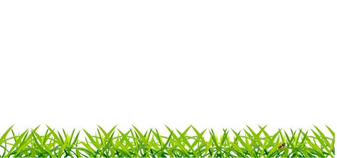 Grass Animation, Cartoon Grass, Tree Video, Green Video, Motion Wallpapers, Grass Background, Fruit Cartoon, Screen Video, Green Screen Video Backgrounds