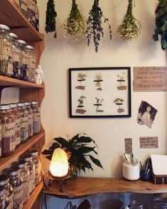 Appartment Decor Ideas, Witchy Apartment, Witchy Cottage, Apothecary Decor, Witchy Room, Witch Room, Appartment Decor, Wiccan Decor, Witch Cottage