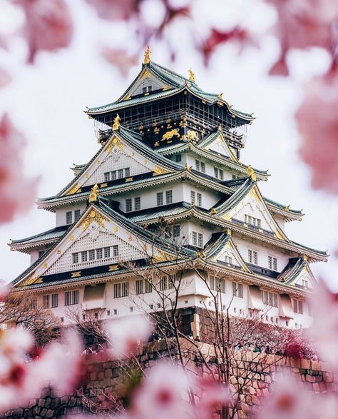 Japan Castle, Japan Beautiful, Asian Travel, Japan Osaka, Food Japan, Osaka Castle, Hawaii Wall Art, Japan Travel Guide, Conde Nast Traveler