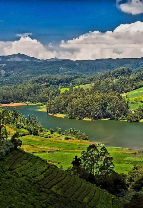 Ooty Hill Station Wallpaper, Hill Station Wallpaper, Ooty Hill Station, Ooty Trip, Mobile Wallpaper Android, Ooty, Hill Station, The Hill, Hd Wallpapers