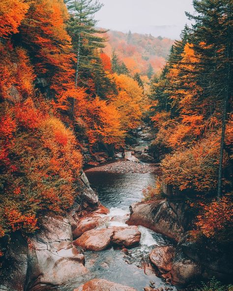 Fall Aesthetic Landscape Wallpaper, Fall Mountains Wallpaper, Fall Road Wallpaper, Autumn Car Wallpaper, Scenic Fall Wallpaper, Autumn Magic, Instagram Art, Autumn Scenery, Autumn Beauty