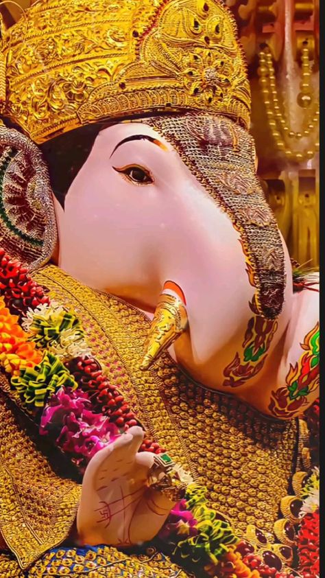 Ganpati Songs, Ganesh Ji Images, Ganpati Bappa Wallpapers, Ganpati Bappa Photo, Happy Ganesh Chaturthi Images, Hindu Rituals, Ganesh Chaturthi Images, Cute Good Morning Images, Bappa Morya