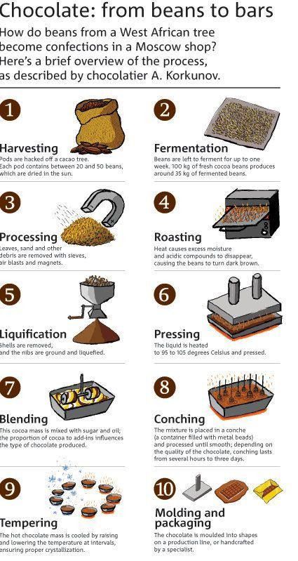 A 10-Step Guide to How Chocolate is Made | Daily Infographic Chocolate Facts, Bean To Bar Chocolate, History Of Chocolate, Chocolate Crafts, Cacao Chocolate, Cocoa Beans, Types Of Chocolate, Cocoa Chocolate, Chocolate Heaven