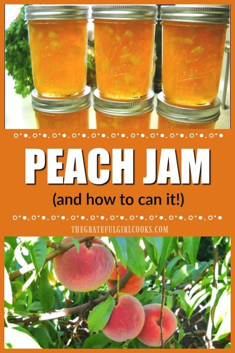 Homemade peach jam is a reminder of summer time at it's BEST! Learn how to make this classic jam, and can it for long term storage! / The Grateful Girl Cooks! Peach Jelly Recipe, Homemade Peach Jam, Peach Jam Recipe, Canning Peaches, Peach Jelly, Oxtail Recipes, Peach Preserves, Jam Recipes Homemade, Baking Measurements