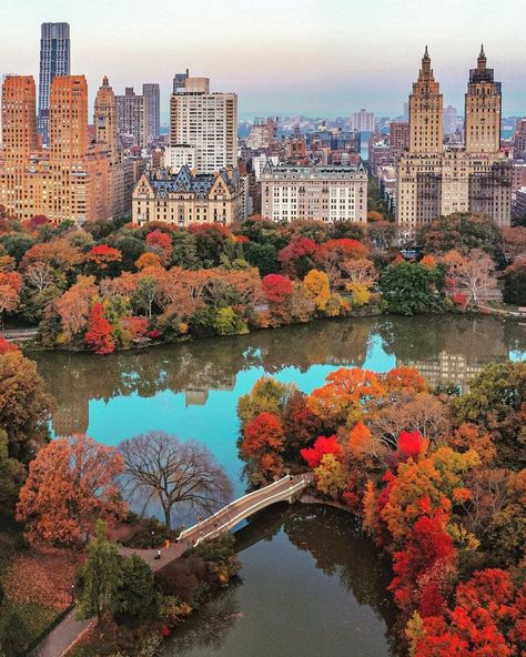 San Myshuno, Rhapsody In Blue, Nyc Fall, Central Park Nyc, Autumn In New York, New York Pictures, Nyc Life, New York Photos, New York Life