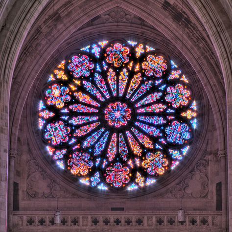 Creation Rose Window at the Washington National Cathedral Rose Window Pattern, Mandala Rose, Washington National Cathedral, Stained Glass Windows Church, National Cathedral, L'art Du Vitrail, Stained Glass Rose, Church Window, Stained Glass Church