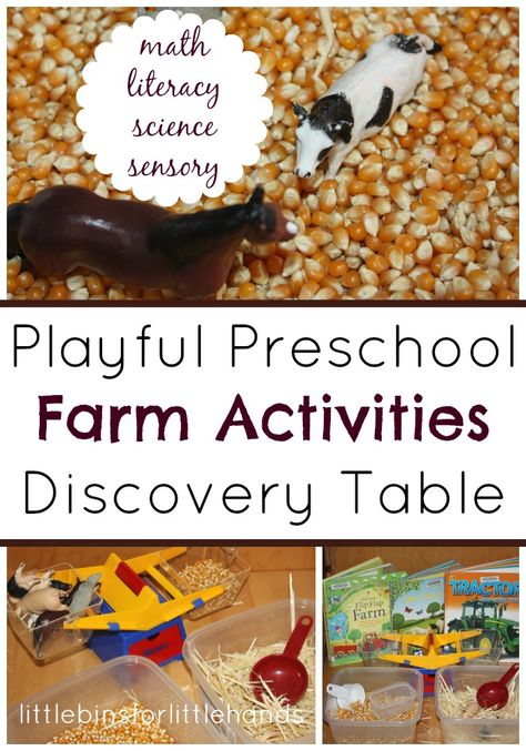 Farm Activities Discovery Table Math Literacy, Science Sensory Farm Activities For Preschoolers, Preschool Farm Activities, Prek Sensory, Farm Sensory, Discovery Table, Science Center Preschool, Farm Activities Preschool, Early Education Classroom, Preschool Farm