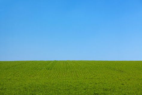 Free image of "Grass And The Sky Background" by Petr Kratochvil Japanese Toilet, Golf Tips For Beginners, Dreamcore Weirdcore, Blue Sky Background, Grass Field, Clear Blue Sky, Backgrounds Free, Green Grass, Image Hd