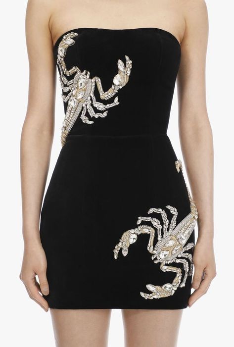 Scorpion Dress, Dress Woman, فستان سهرة, Bustier Dress, Be Back Soon, Glam Dresses, Bustiers, Embroidery Dress, Event Dresses