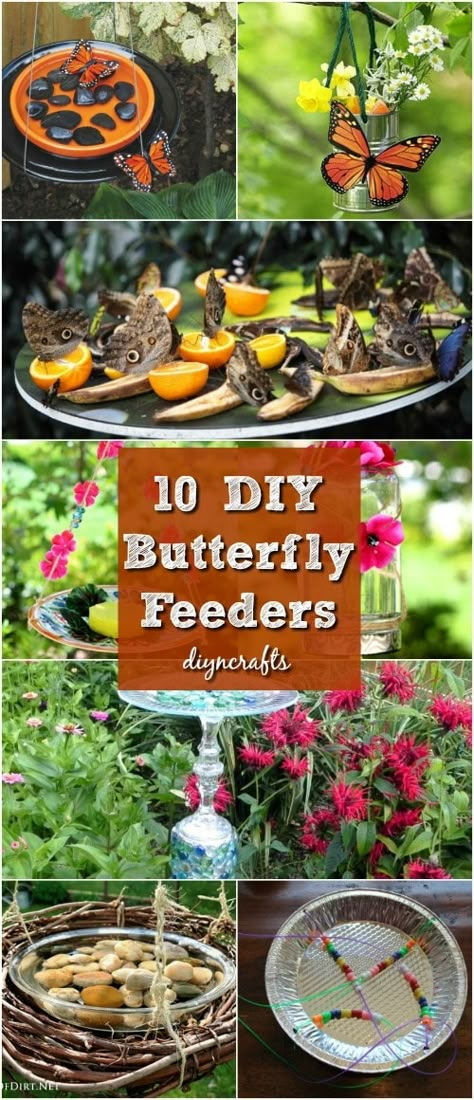 Butterfly Garden Ideas, Diy Papillon, Butterfly Feeders, Butterfly Feeder, Butterfly Garden Plants, Butterfly Garden Design, Butterfly Gardens, Hummingbird Garden, Diy Butterfly