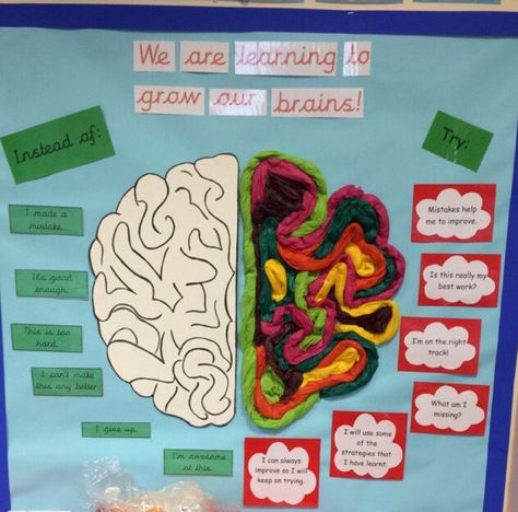 Metacognition Display, Pshe Displays, Mindfulness Bulletin Board, Ikea Lights, Growth Mindset Display, Mindset Bulletin Board, Visible Thinking, Growth Mindset Classroom, Visible Learning