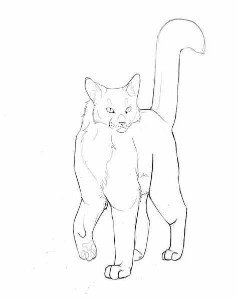 Several Cat, Lion King Drawings, Cat Template, Cat Drawing Tutorial, Cat Coloring, Warrior Cat Drawings, Warrior Cats Art, Cat Coloring Page, Warrior Cat