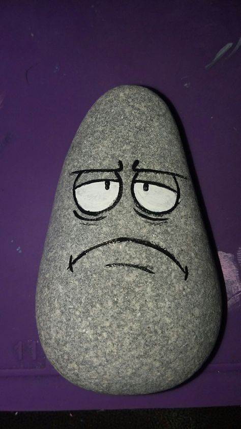 Painted Rock Faces Ideas, Cute Rock Drawing, How To Make A Pet Rock, Rock Painting Faces, Pet Rocks For Kids, Cool Rock Painting Ideas Easy, Rock Drawing Ideas, Pet Rock Ideas, Easy Rock Art