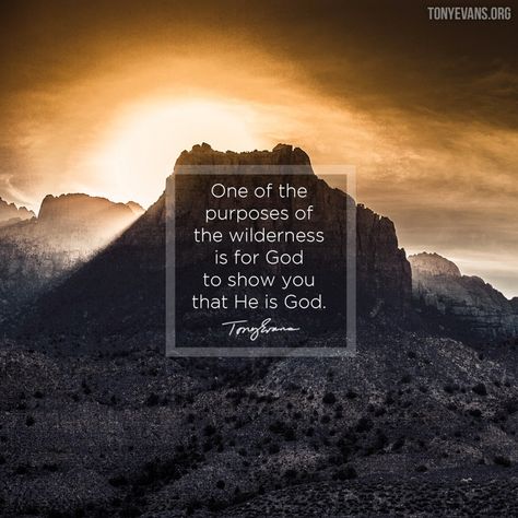 One of the purposes of the wilderness is for God to show you that He is God. -- Tony Evans Cute Cabins, Bible Topics, Tony Evans, God Is Amazing, God First, The Wilderness, Life Is Hard, Nature Quotes, God Jesus