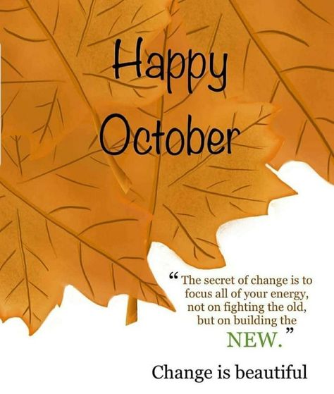 Happy New Month October, New Month October, October Love, New Month Quotes, Month Quotes, Its My Birthday Month, Family Yoga, Love Month, Month October