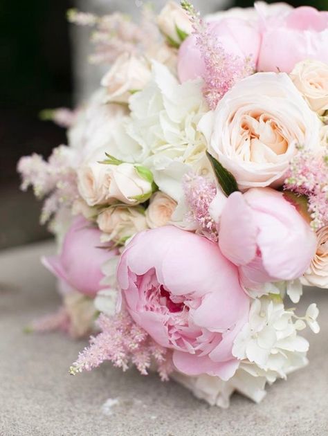 The delicate grace and beauty of the Peony can not be denied! No wonder many of us dream of these huge, puffy blossoms gracing our wedding bouquets, vases, yards and floral arrangements! Wedding Flowers Pink Peonies, Pink Peony Bouquet Wedding, Wedding Bouquet Champagne, Pale Pink Peonies, Garden Rose Bouquet, Wedding Flowers Peonies, Bridal Bouquet Pink, Blush Wedding Flowers, Pink Rose Bouquet