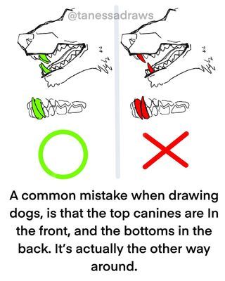 Art • Instagram Teeth Drawing, Art Advice, Drawing Expressions, Wow Art, Anatomy Reference, Anatomy Art, Art Tutorials Drawing, Digital Art Tutorial, Drawing Reference Poses