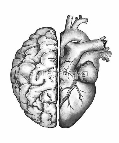 Brain Heart Drawing, Half Brain Tattoo, Heart And Brain Drawing, Half Heart Half Brain Tattoo, Brain And Heart Drawing, Brain Drawings, Brain And Heart Tattoo, Medical Tattoo Ideas, Heart And Brain Tattoo