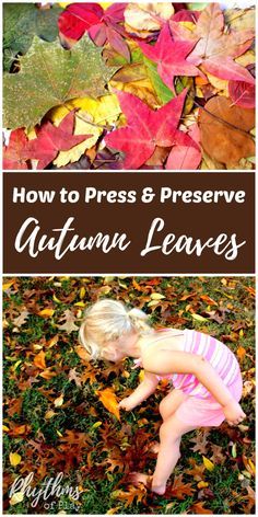 Preserve Fall Leaves, How To Preserve Leaves, Light Fixture Makeover, Diy Blanket Ladder, Activity For Kids, Leaf Nature, Nature Crafts, Autumn Activities, Arts And Crafts Supplies