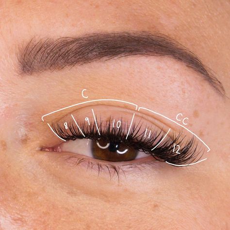 Cat Eye Lash Extensions Eyelash Extensions 12mm, Lash Extensions All One Length, Cat Eye Extensions Map, Kitten Mapping Lashes, Cat Eye Lash Extensions Cc Curl, C Curl Lash Mapping, C Curl Cat Eye Lashes, Cc Curl Eyelash Extensions, C Curl Eyelash Extensions Cat Eye