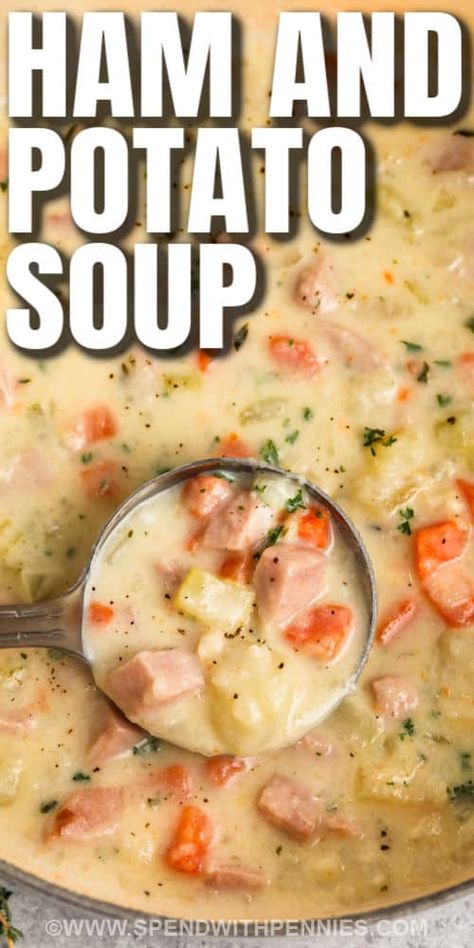 Ham and potato soup is a hearty homemade dish that is so easy to prepare. Made with diced ham, potatoes, and vegetables, it is thick, creamy, and so delicious! Top with shredded cheese and don't forget the fresh bread for dunking. #spendwithpennies #hamandpotatosoup #potatosoup #souprecipe Creamy Ham And Potato Soup, Ham Potato Soup, Ham Potatoes, Ham Soup Recipes, Homemade Ham, Ham And Potato Soup, Ham Potato, Ham Casserole, Leftover Ham Recipes