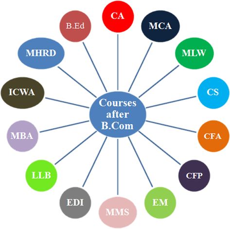 Bachelor Of Commerce Degree: All You Need To Know - CareerGuide What Is Economics, Commerce Stream, Student Apps, Bachelor Of Commerce, Business Management Degree, Company Secretary, Job Advice, Study Flashcards, Career Counseling