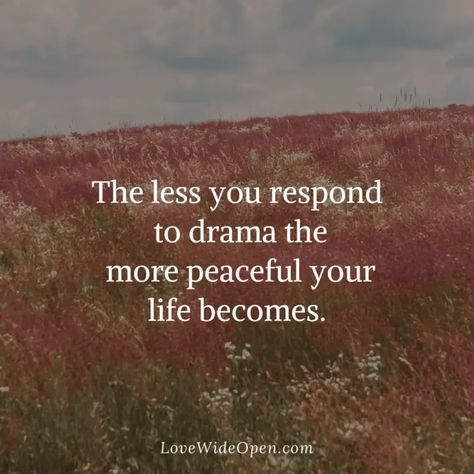 The less you respond to drama the more peaceful your life becomes. Drama sucks all the good ness out of you. Drama keeps you stuck. When You Cause Your Own Drama, Life Drama Quotes, Stop Sharing Your Life Quotes, Stuck Quote Life, Quotes On Drama, Drama Free Life Quotes, Respond Quotes, Girl Drama Quotes, No Drama Quotes