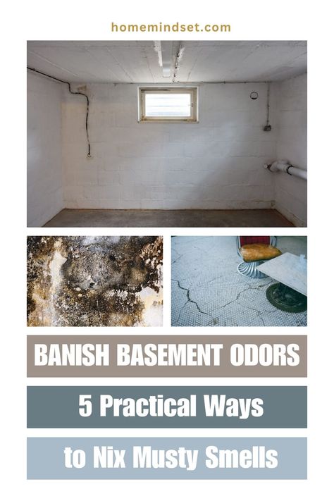 Smelly Basement Remedy, Musty Smell In House, Basement Odor, Mold Smell, Basement Furniture, Smelling Good, Your Trash, Mildew Smell, Food Scraps