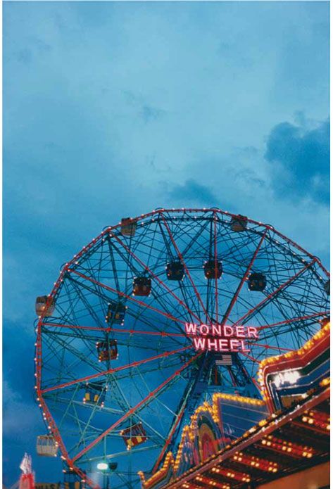 Wonder Wheel Wonder Wheel, Fair Rides, Beach Bonfire, Drive In Movie, Top Beauty, Celebrities Humor, Big Top, Carousel Horses, Big Wheel