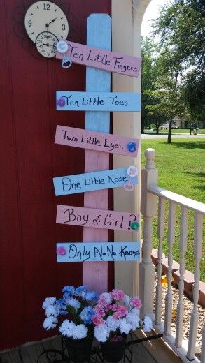 Indian Gender Reveal Ideas, Baby On Board Gender Reveal, Outside Gender Reveal, Gender Reveal Ideas For Party Decoration Outdoor, Gender Reveal Diy, Indian Baby Shower Decorations, Bos Baby, Creative Gender Reveals, Indian Baby Showers