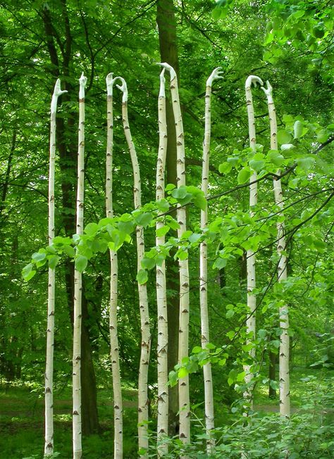 green. Environmental Artwork, Boom Kunst, Environmental Artist, Art Calendar, Earth Art, Sculpture Park, Forest Art, Outdoor Sculpture, Sculpture Installation