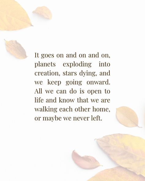 October is chugging right along and I’ve decided it’s the right time to share my reflections 🫶🏻 Y’all seem to be enjoying my monthly thoughts & observations… my hope is to inspire you to pause and reflect 🍂 What is October teaching you? #mindfulness #reflections #creativewriting #journalprompts My Hope, It Goes On, Hope Is, Right Time, Journal Prompts, Creative Writing, To Share, Mindfulness, Quick Saves