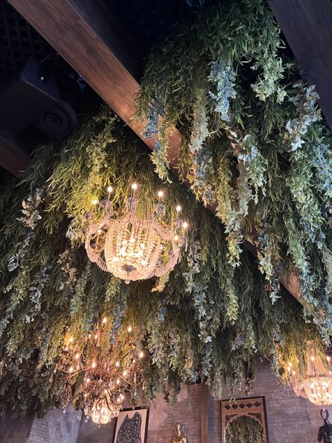 Beautiful way to arrange leaves & lighting instead of staring at rafters & ceiling paint textures in a everyday setting! Fall Ceiling Decorations, Forest Ceiling Decorations, Ferns Hanging From Ceiling, Swamp Bathroom, Suspended Plants Ceiling, Moss Ceiling Design, Foliage Ceiling, Ceiling Light Forest, Foliage Ceiling Installation