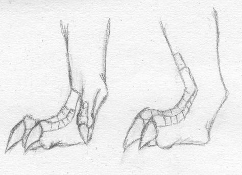 Image result for dragon feet drawings Dragon Talon Reference, Snake With Legs Drawing, Dinosaur Feet Drawing, Dragon Talons Reference, How To Draw Dragon Talons, Dragon Paws Reference, Sitting Dragon Drawing, Dragon Feet Drawing, Dragon Atonamy