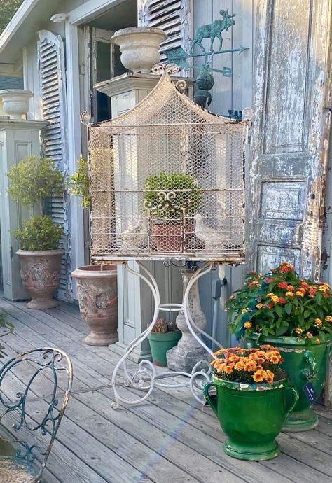 Bird Cage Aesthetic, Cage Aesthetic, Gothic Gardens, Birdcage Planter, Cage Decor, Vintage Birdcage, Court Yard, Gothic Garden, French Rustic