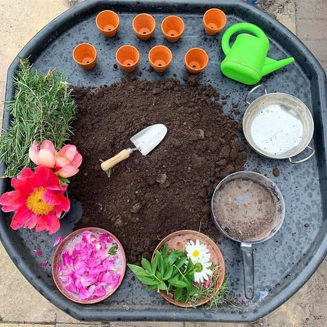 GARDENING SENSORY TRAY . 🌿 .  Another easy-peasy set up that I shared via step by step videos in Stories today! . 🌿 .  You’ll notice it’s… Tuff Tray Fairy Garden, Eyfs Outdoor, Tuff Tray Ideas Toddlers, Curiosity Approach, Sensory Tray, Forest School Activities, Outdoor Nursery, Eyfs Activities, Nursery Activities