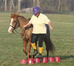 Equine Therapy Activities, Horse Riding Games, Horse Education, Horse Socks, Forest Games, Pony Games, Horse Lessons, Equine Therapy, Riding School