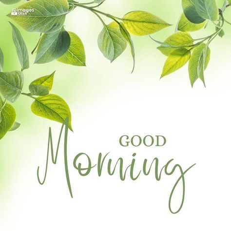 Good Morning Hd, Good Day Images, Good Morning Photos Download, Good Morning Pics, Photos Of Good Night, Latest Good Morning Images, Free Good Morning Images, Positive Morning, Special Good Morning